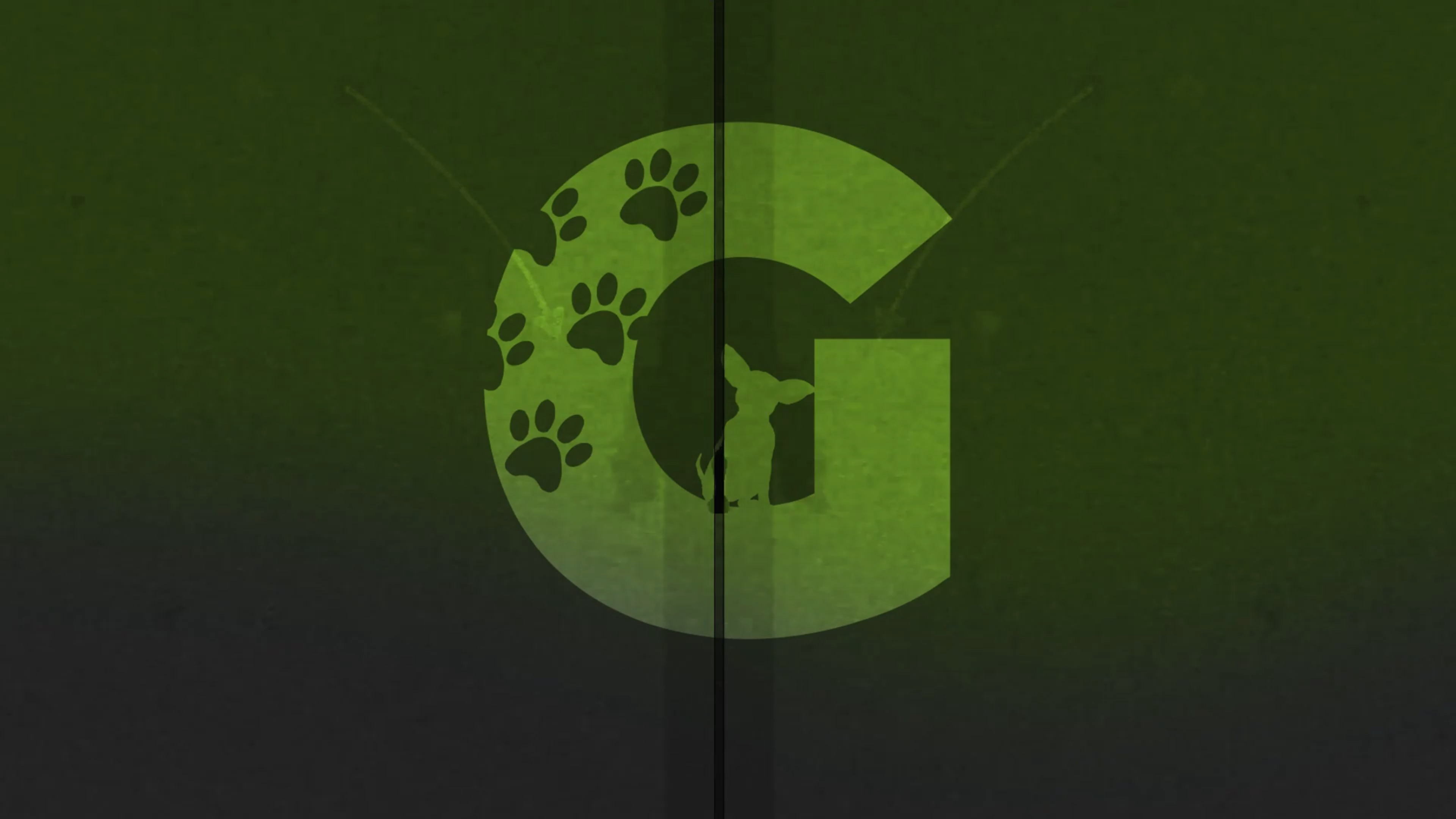 Gastrointestinal Obstruction