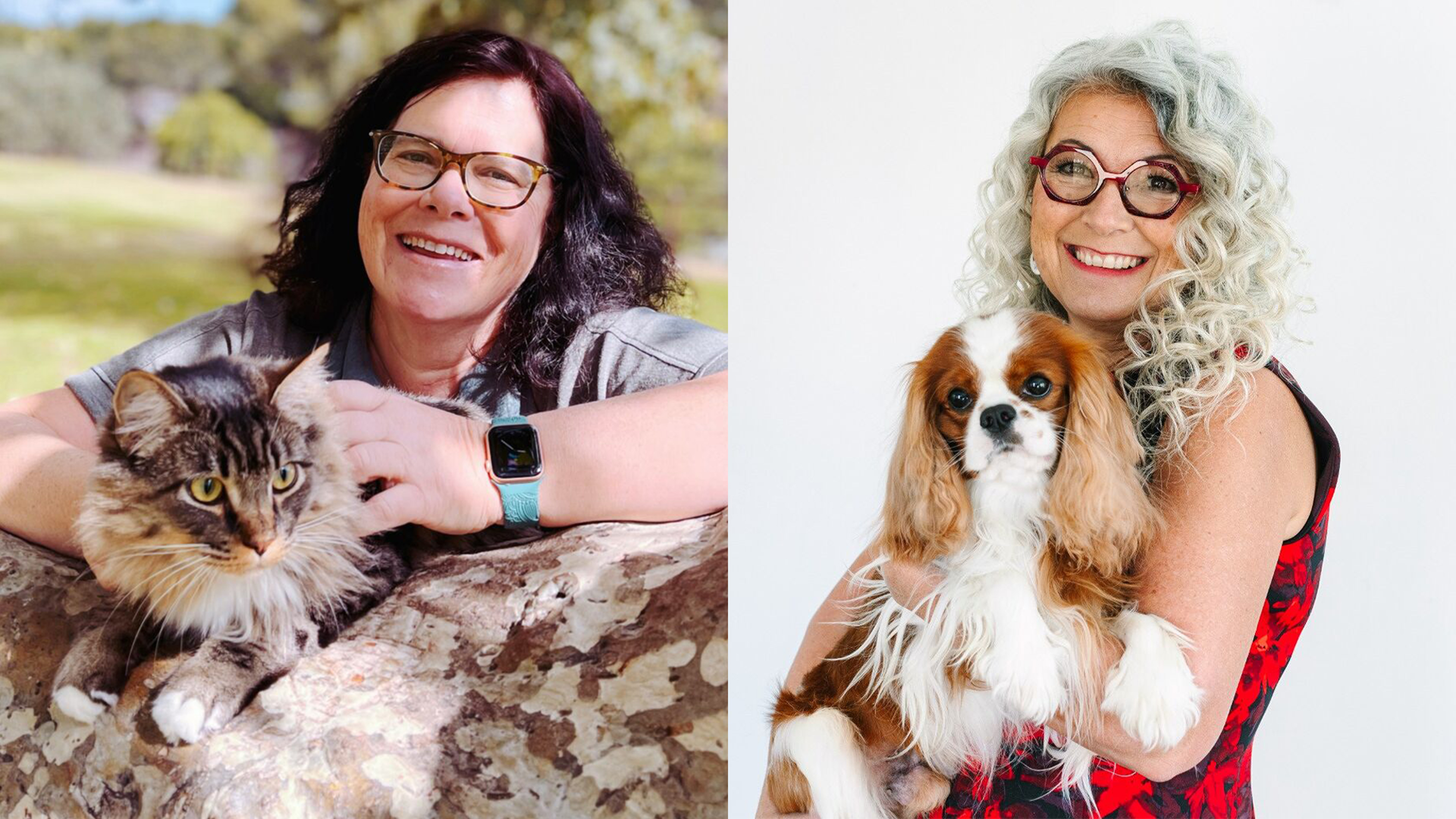 Gut Health, Holistic Healing & The Power of Proactive Pet Care