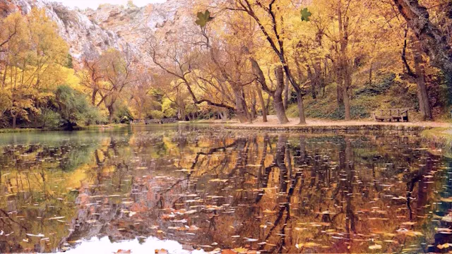 Calm Autumn Lake Reflections