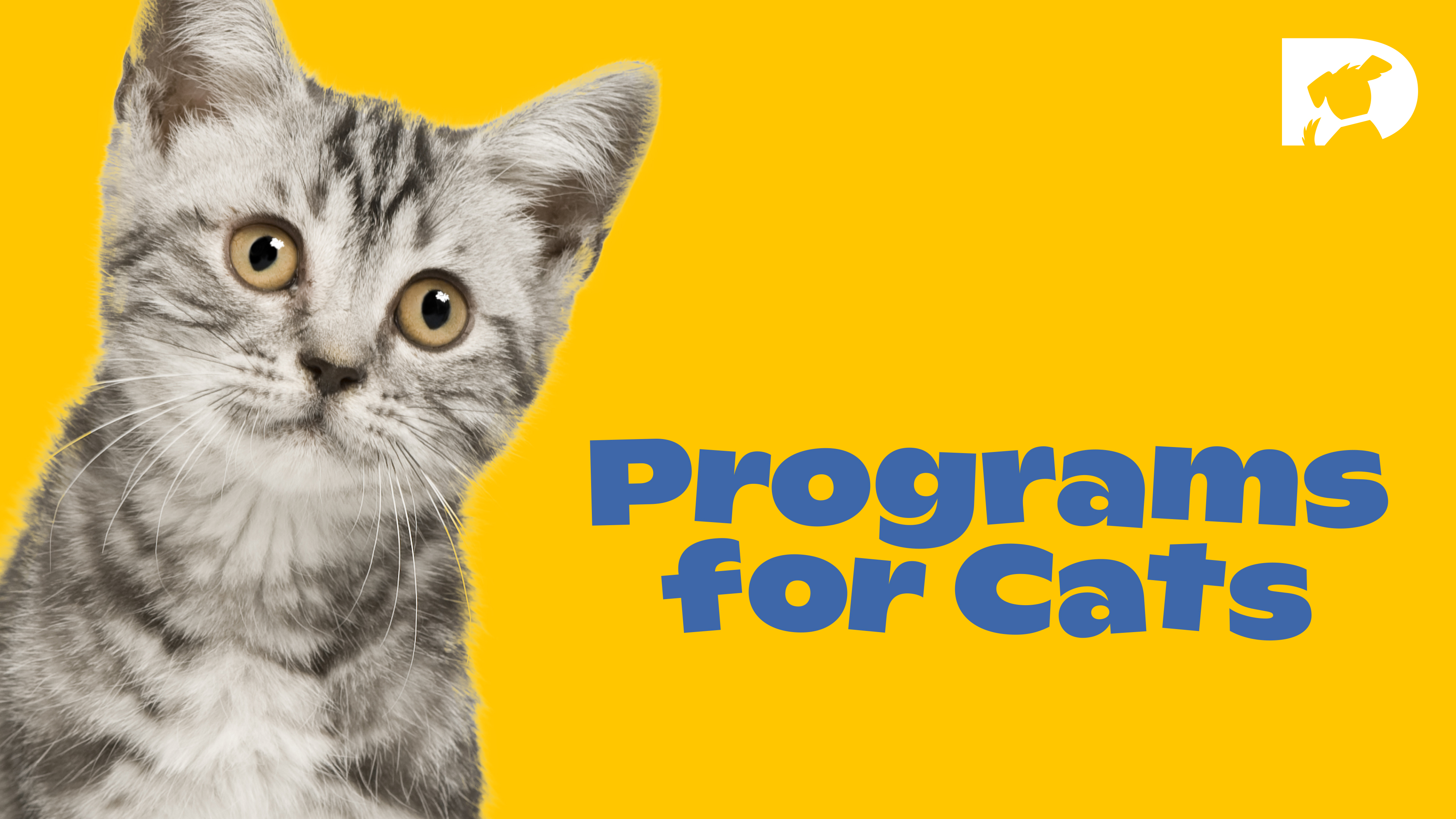 A Purrfect Collection of Relaxing and Fun Videos for Cats