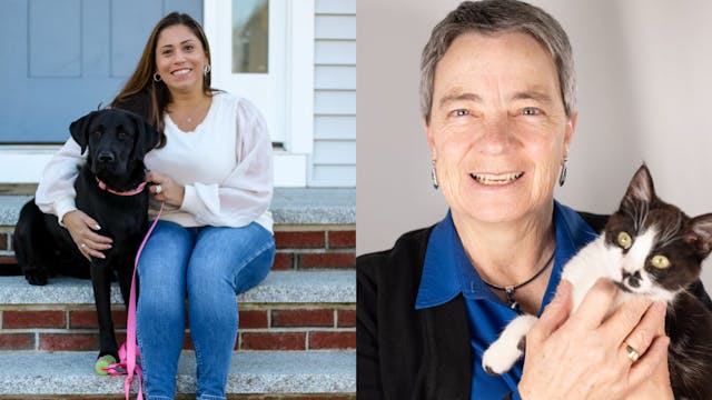 Fighting Pet Cancer, Saving Shelter P...