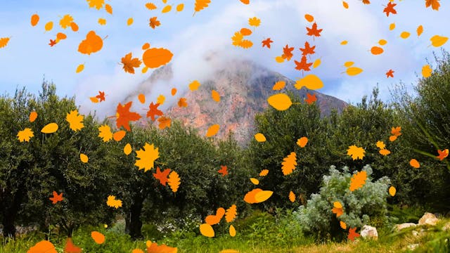 Misty Peaks