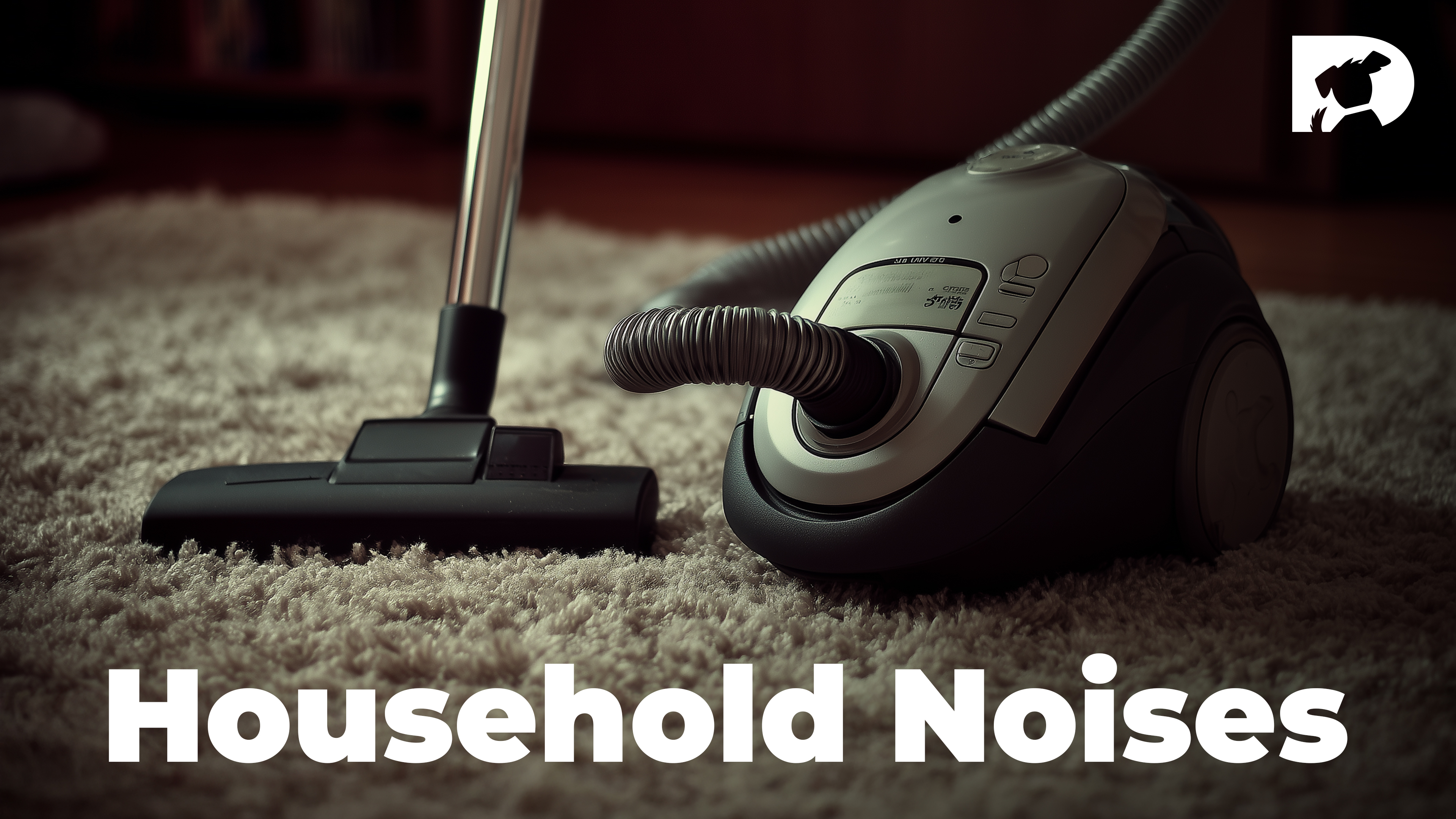 Household Noises