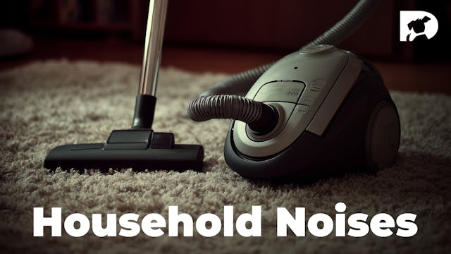 Household Noises