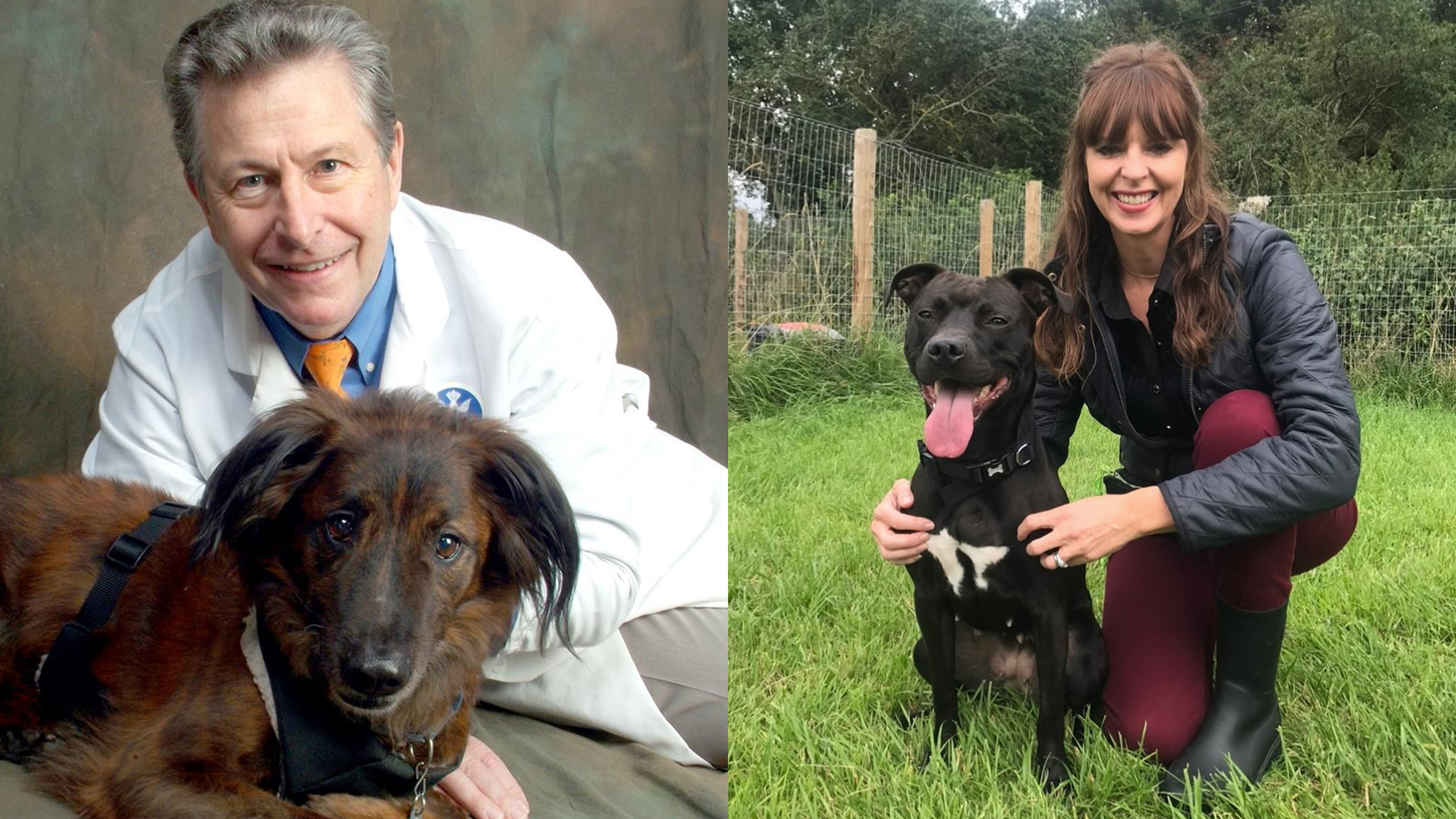 The Science of Dog Anxiety: Advice from Victoria Stilwell & Dr. Nicholas Dodman