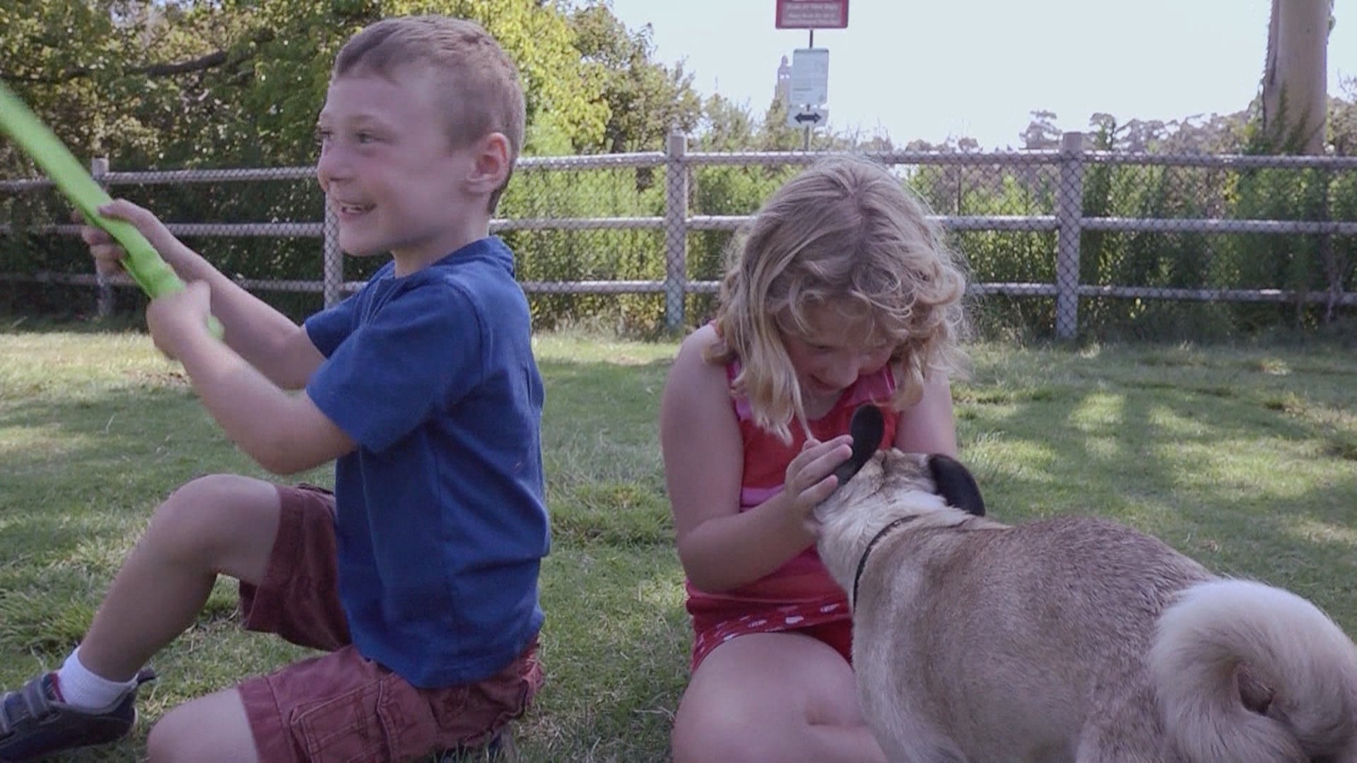 Kids at the Dog Park
