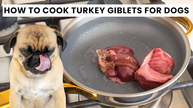 Cooking Turkey Giblets