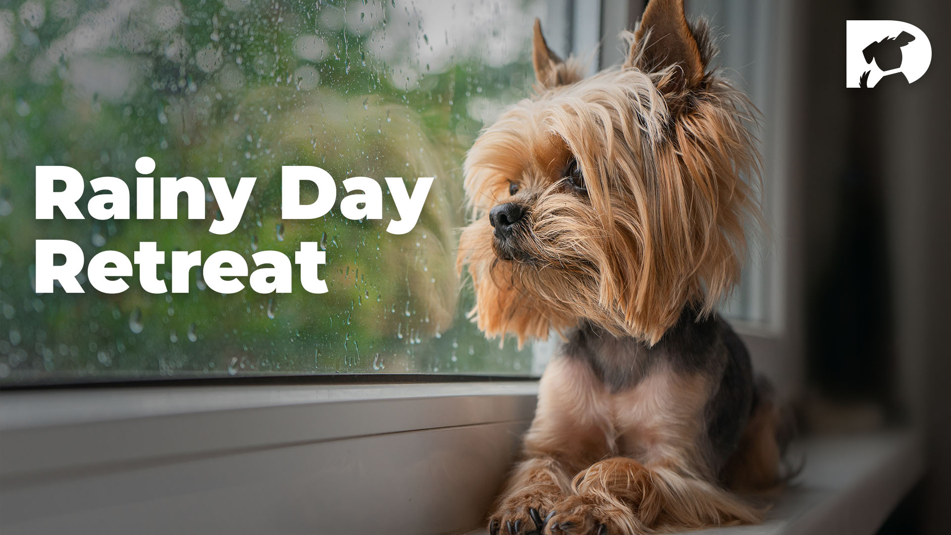 Rainy Day Retreat