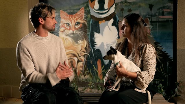 From Mission to Home