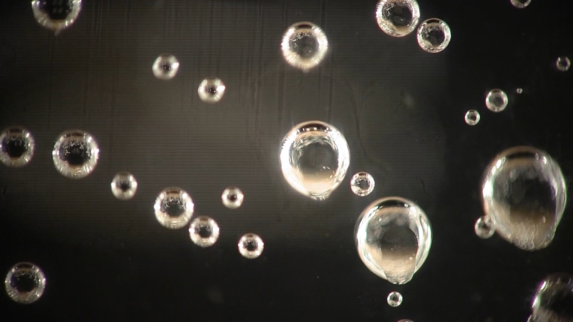 Bubbles on the Move