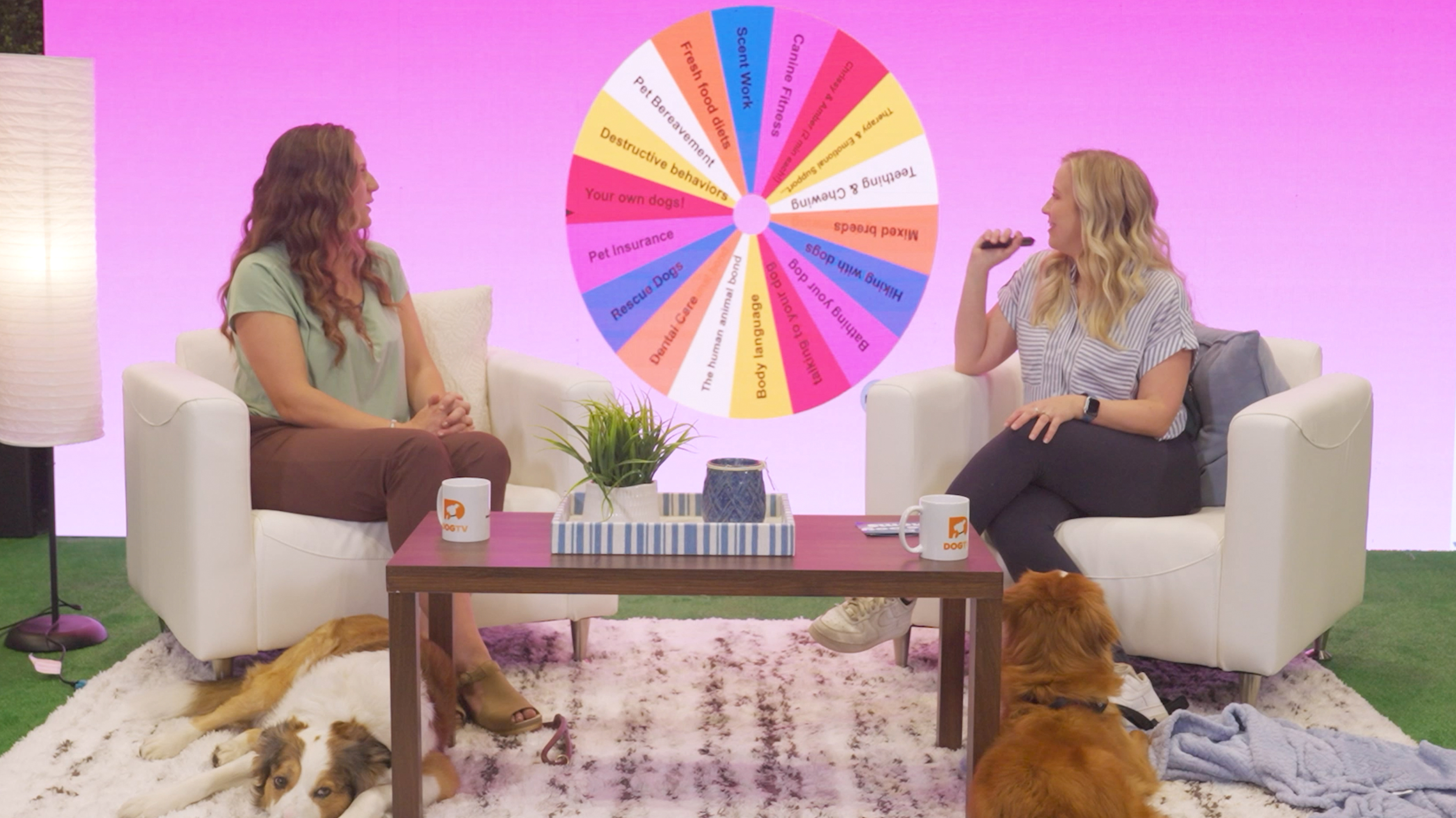 Reading Each Other, Loving Our Dogs