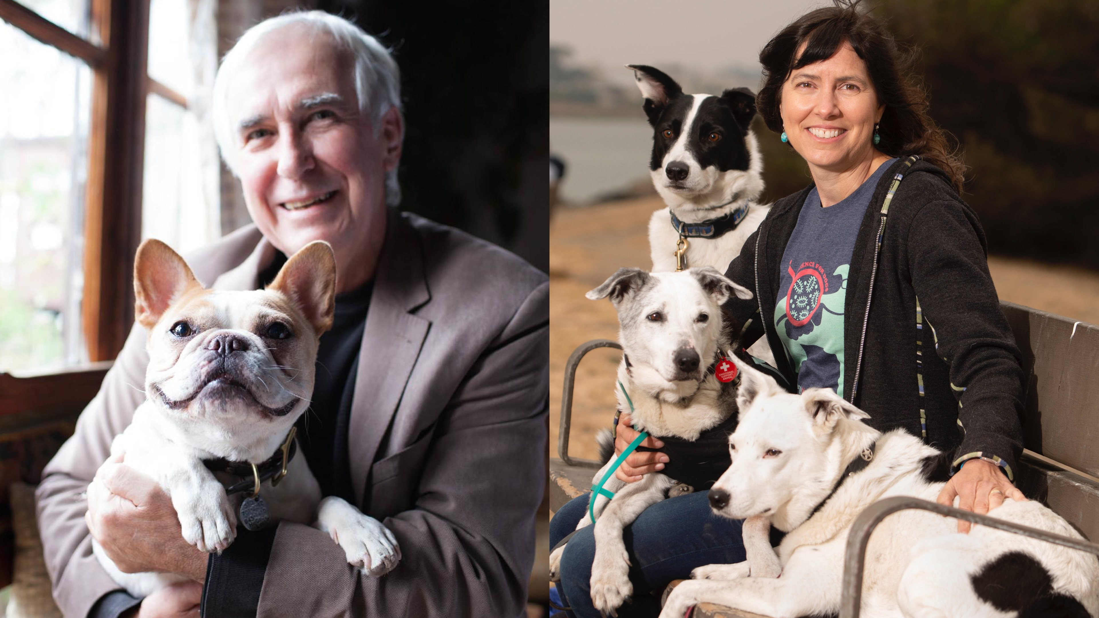 Mastering Dog Training & Unlocking Gut Health for Pets