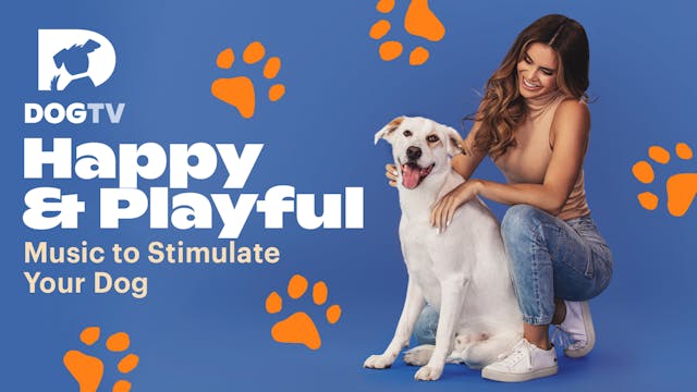 Happy & Playful
