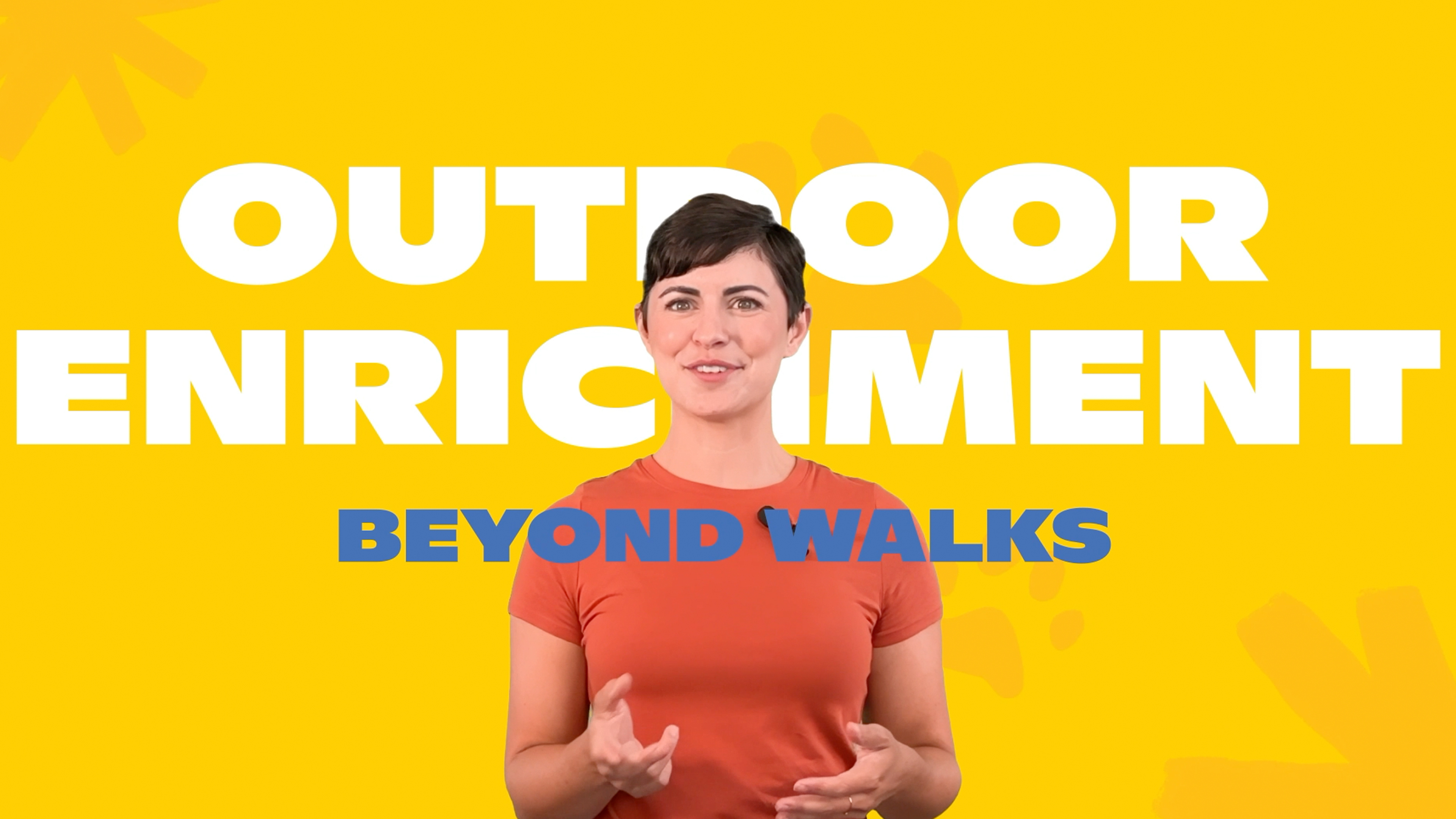 Outdoor Enrichment Beyond Walks