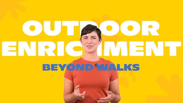 Outdoor Enrichment Beyond Walks