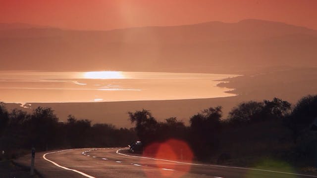 The 101