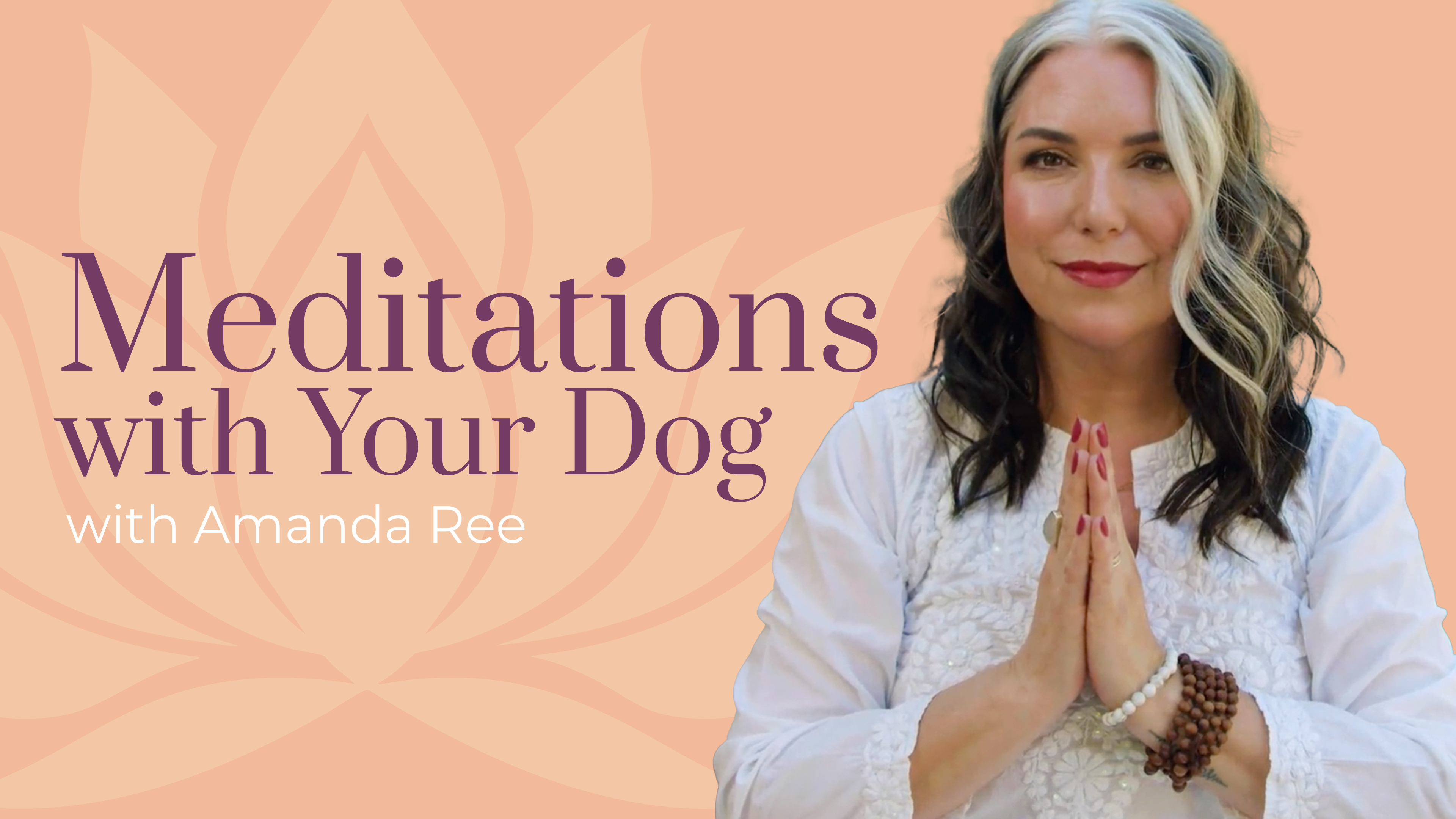 Meditations with Your Dog