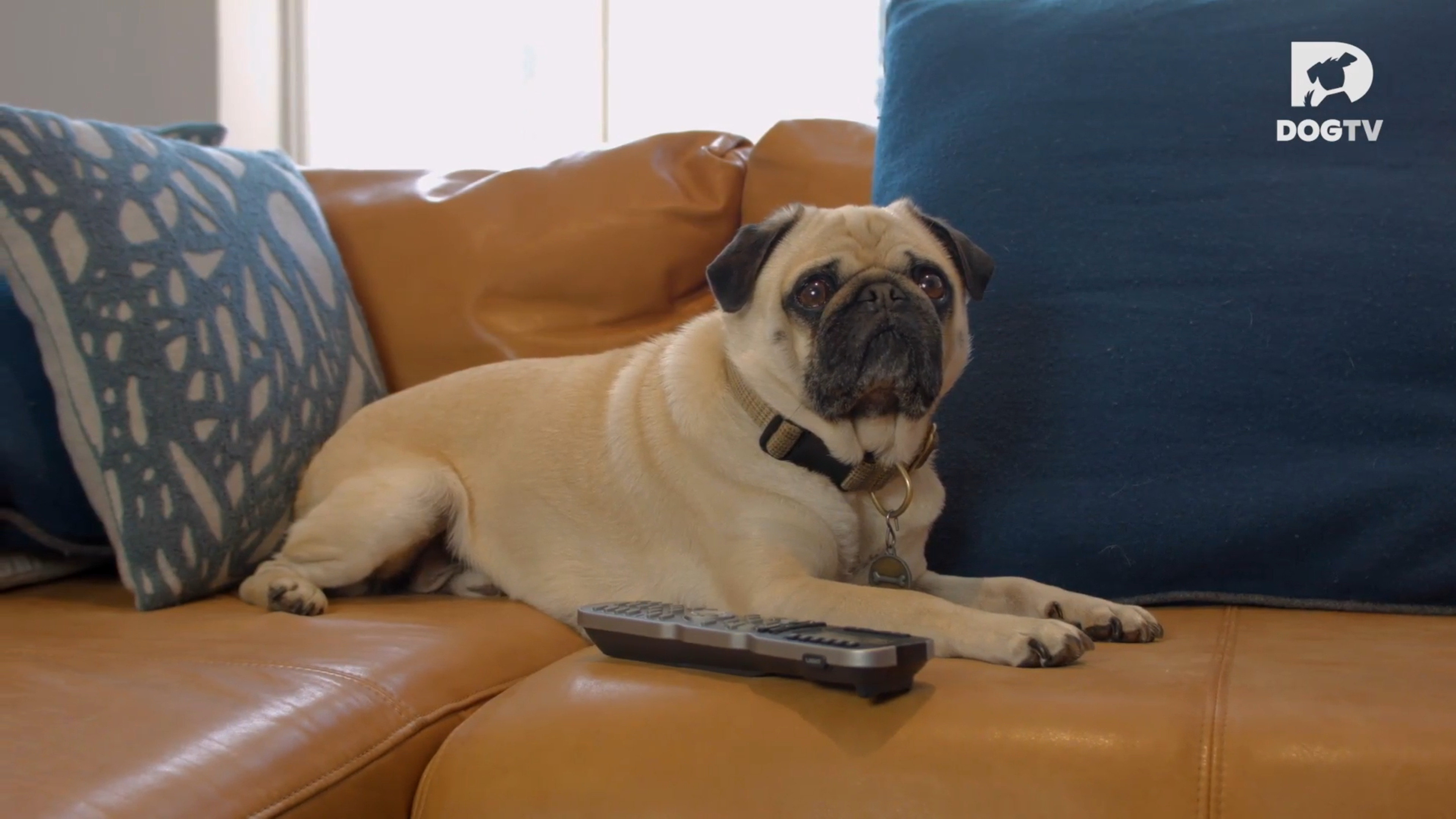 Some Stimulation, Some Relaxation