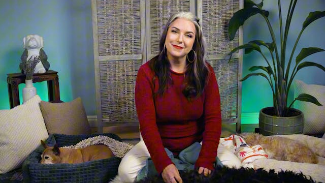 Weekend Meditations #8