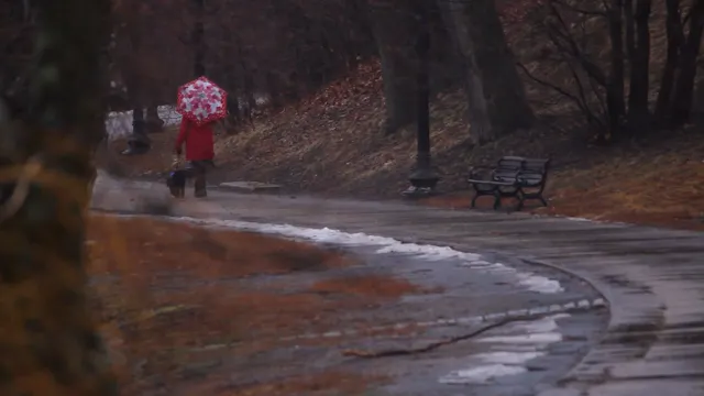 A Rainy Walk by the Lake