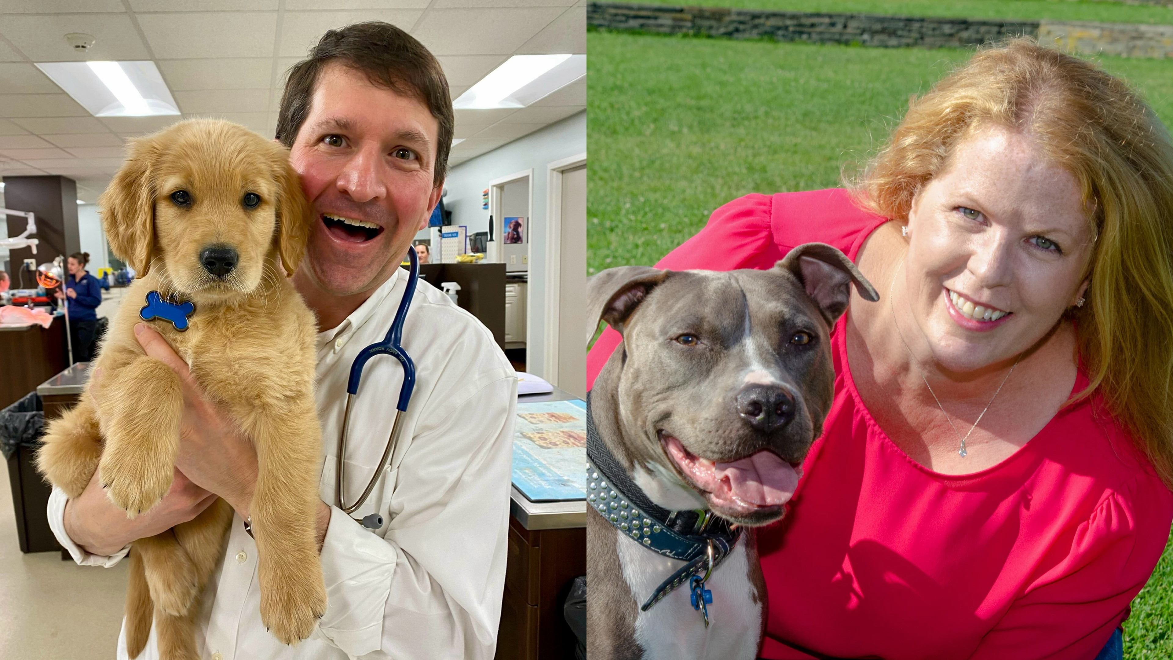 The Cone of Shame, Pet Pros & Pets with Paws