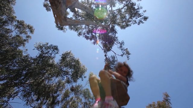 Rope Swing Fun