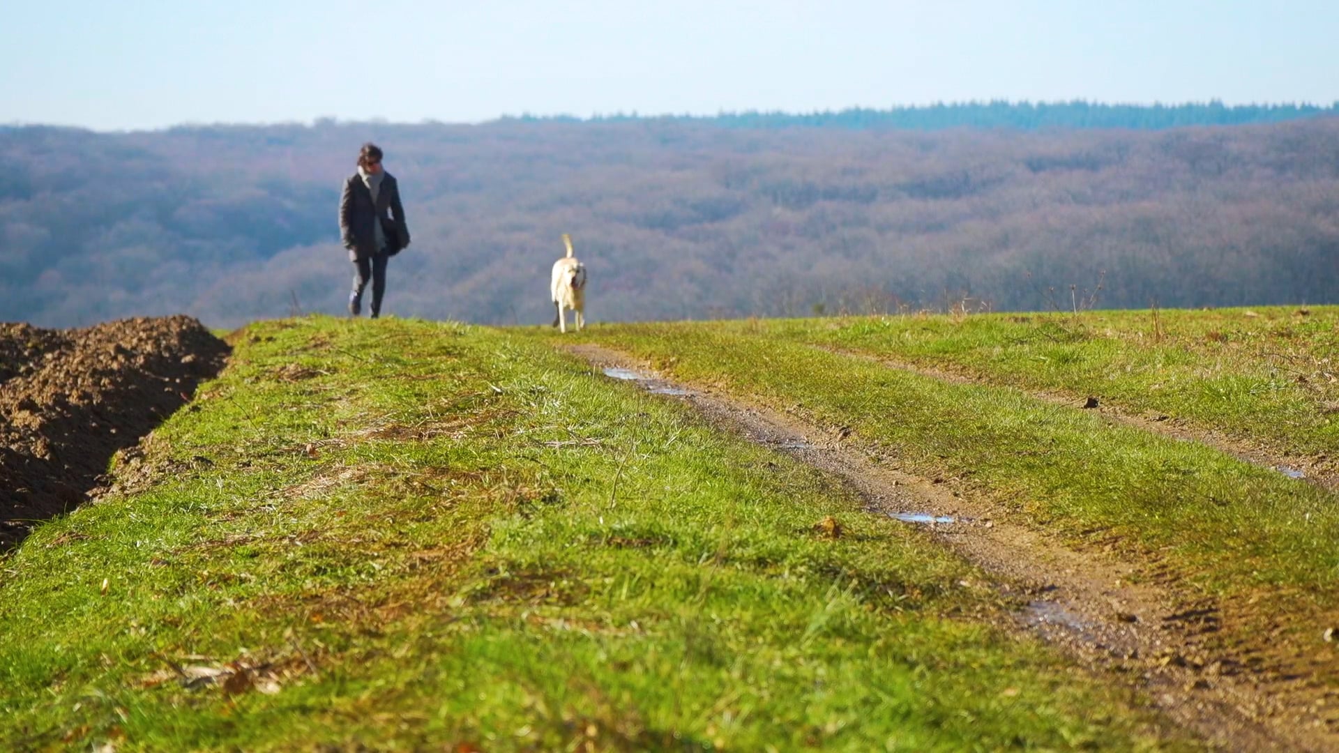 A Walk Through the Countryside