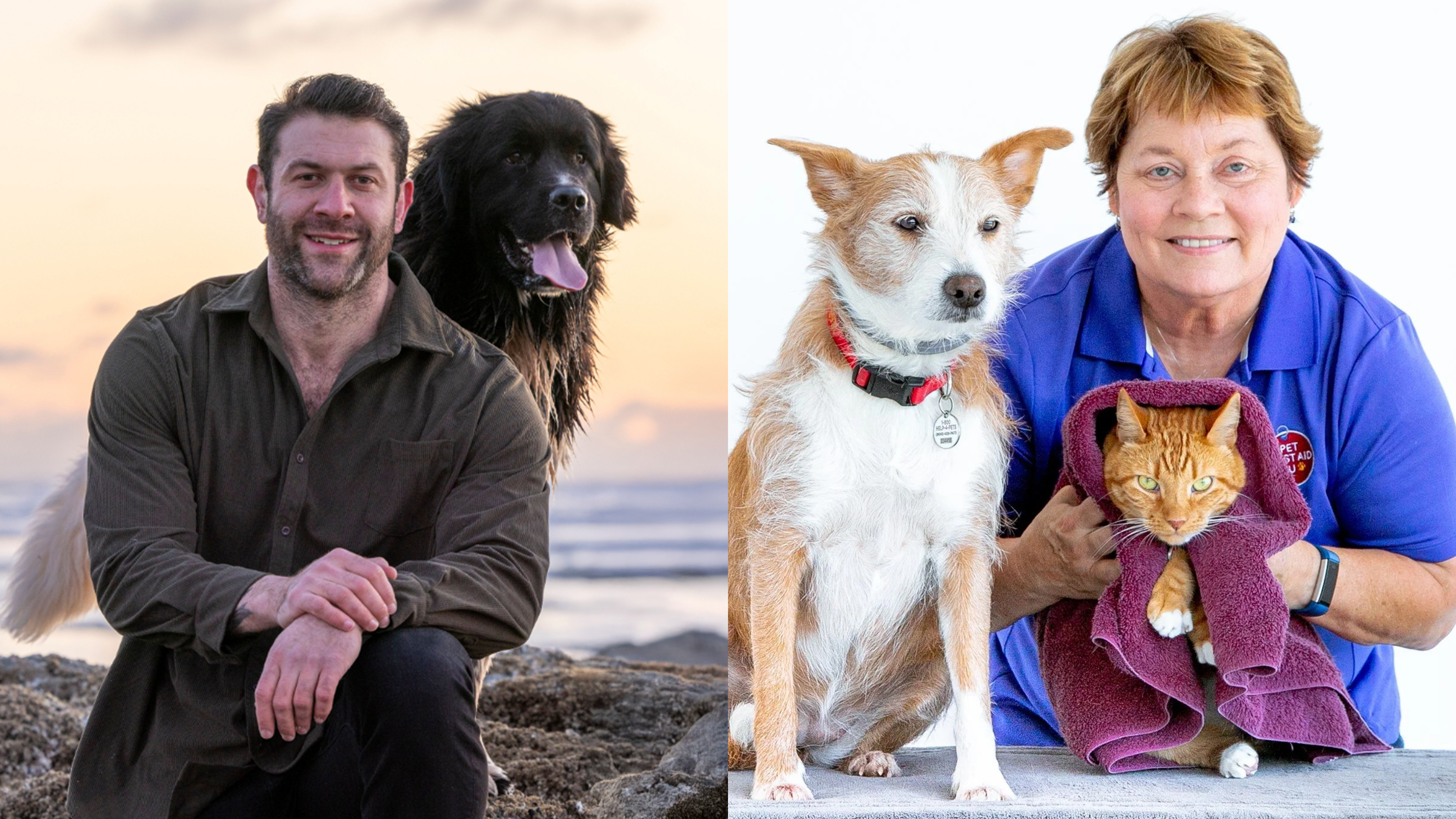 AI Savings, Sanctuary Heroes & Pet First Aid Power