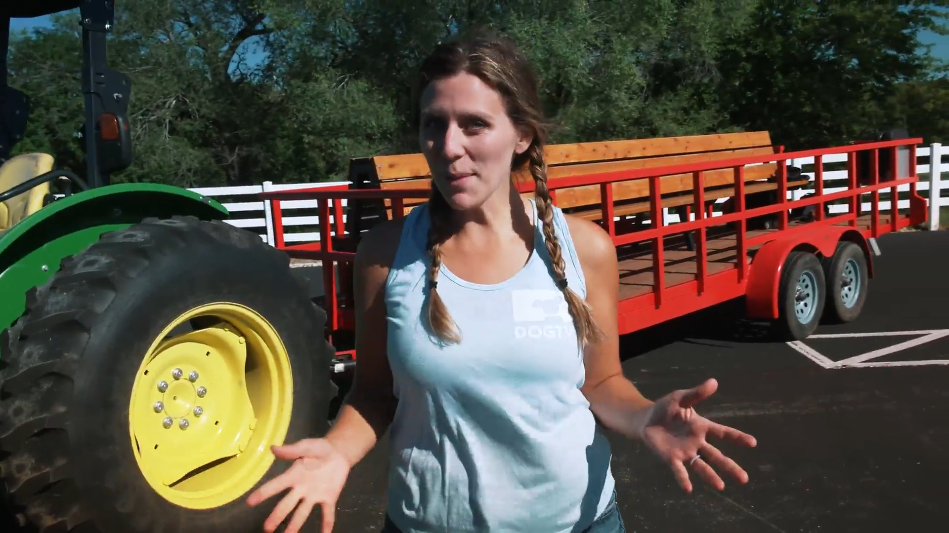 Canine Champions Unleashed