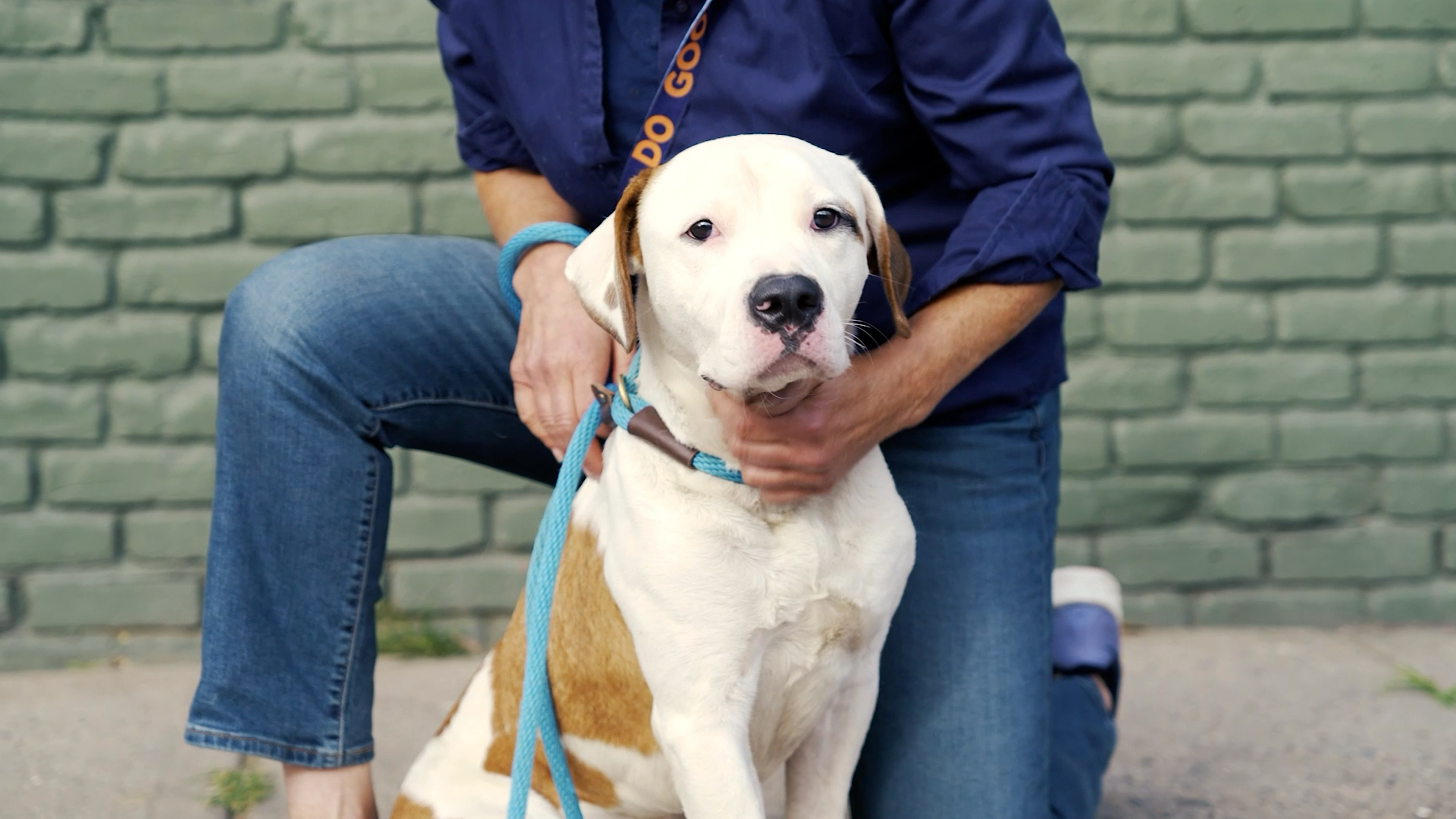 Volunteers Make a Difference