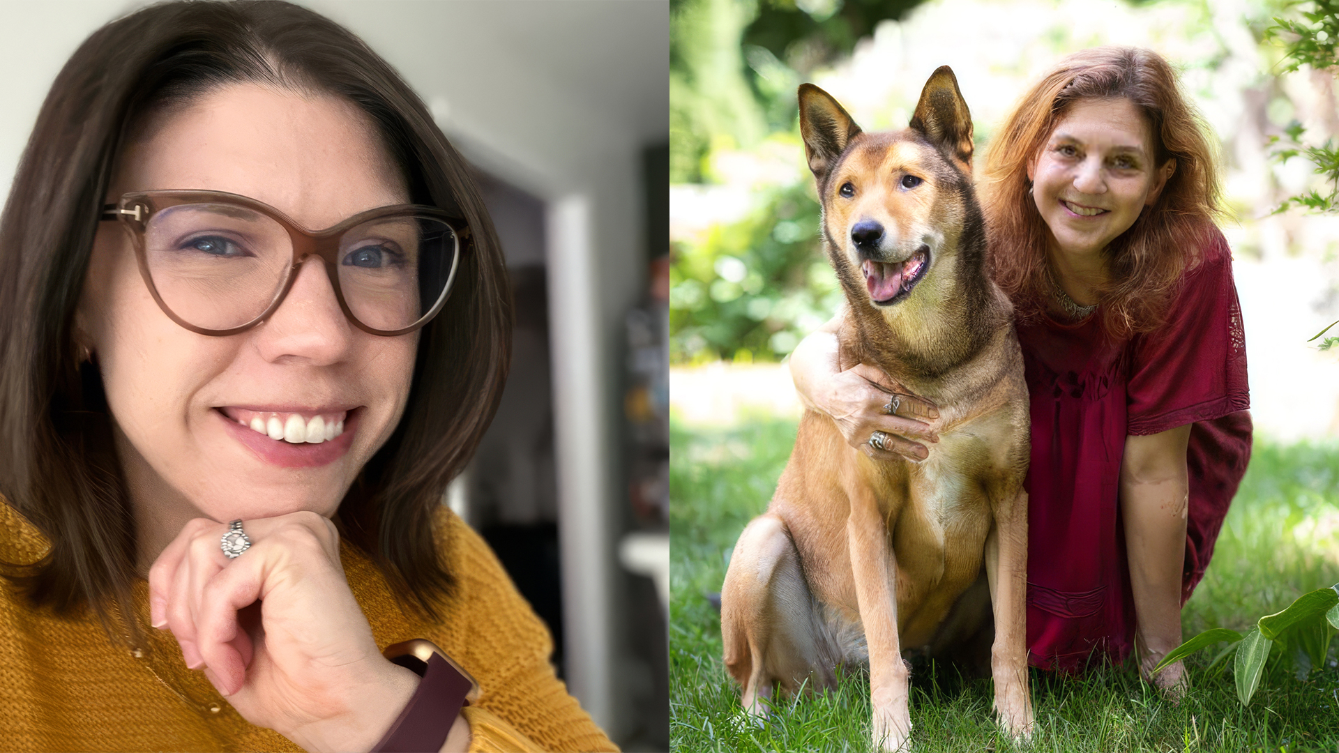 Smarter Dogs, Spay & Neuter Solutions & Animal Intelligence