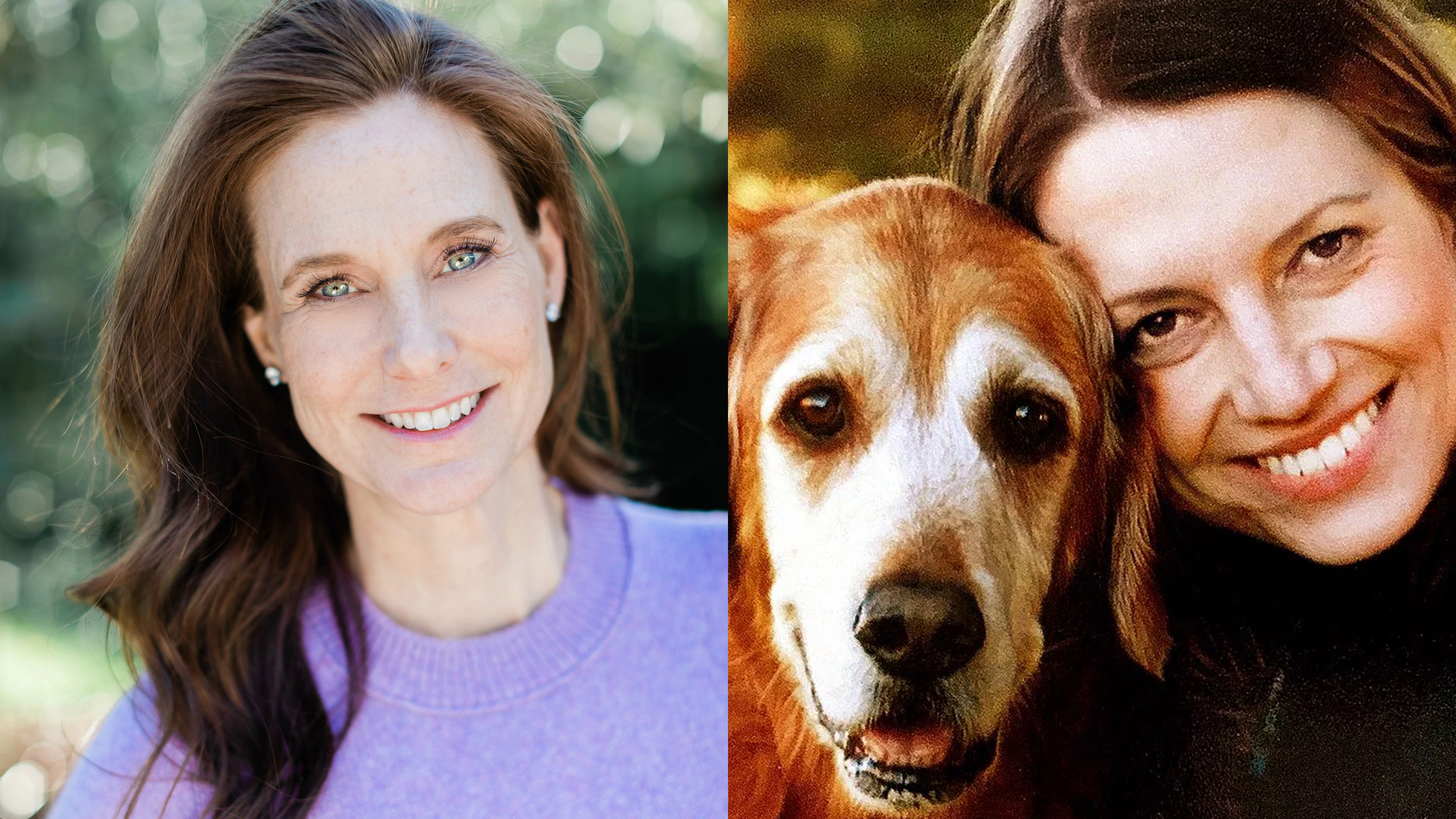 New Year Reflections, Animal Intelligence & The Healing Power of Dogs