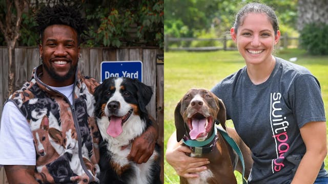 Super Bowl Dogs, NFL Advocacy & High-...