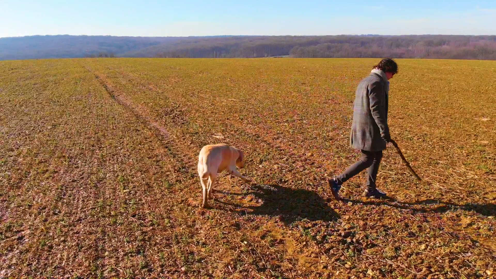 The Open Field