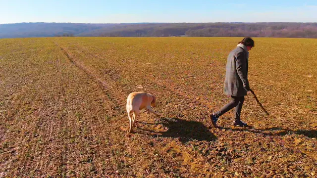 The Open Field