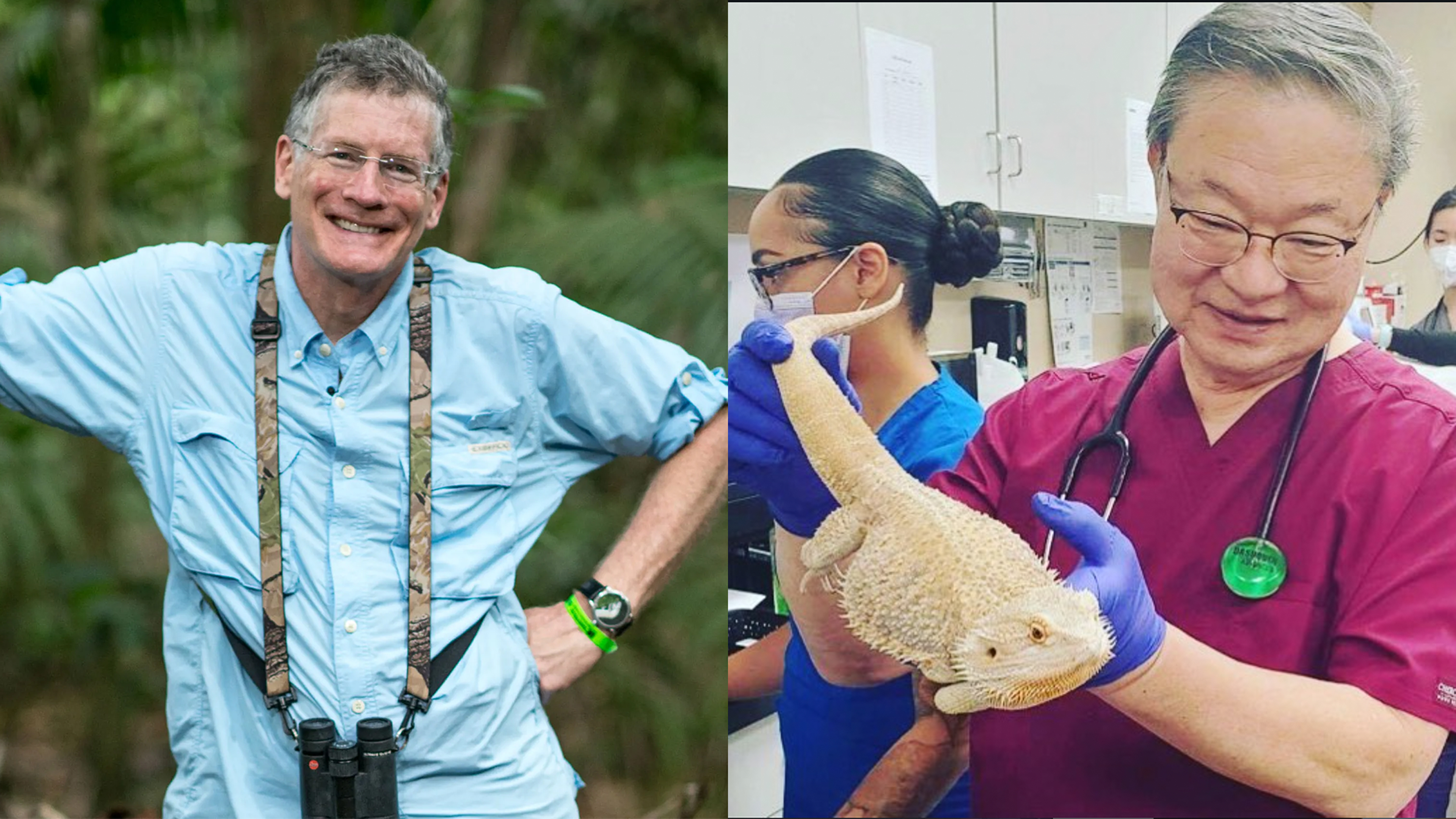 Insect Protein, Cat Evolution & The Future of Pet Wellness