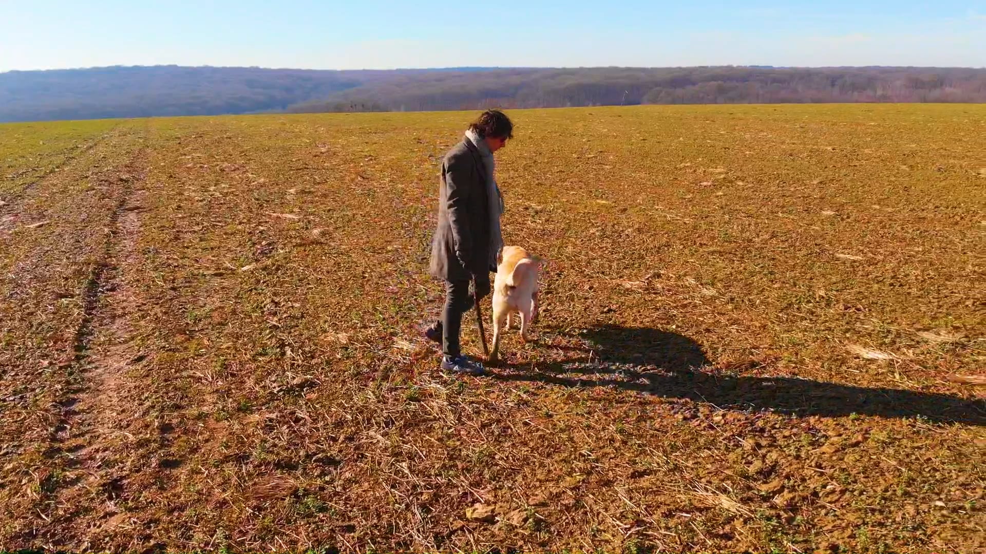 An Autumn Walk with a Dog
