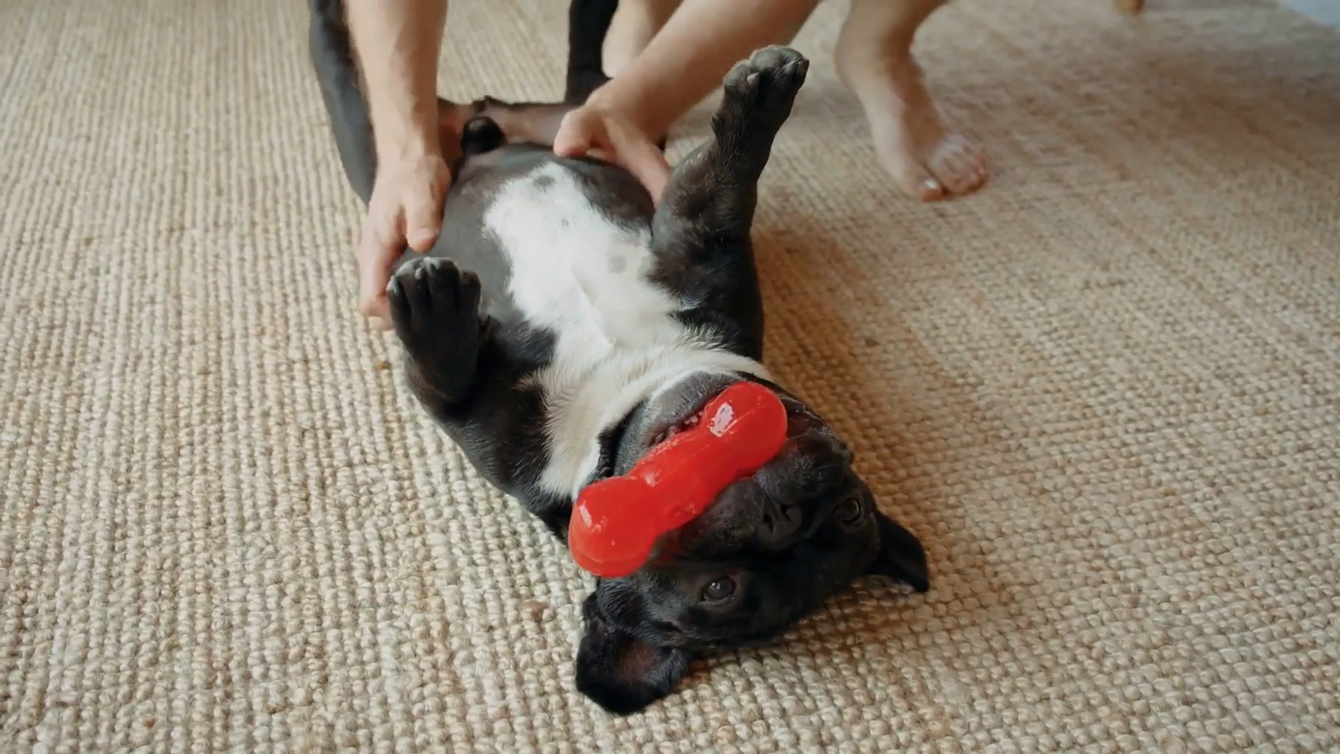 Enrichment Tips at Home