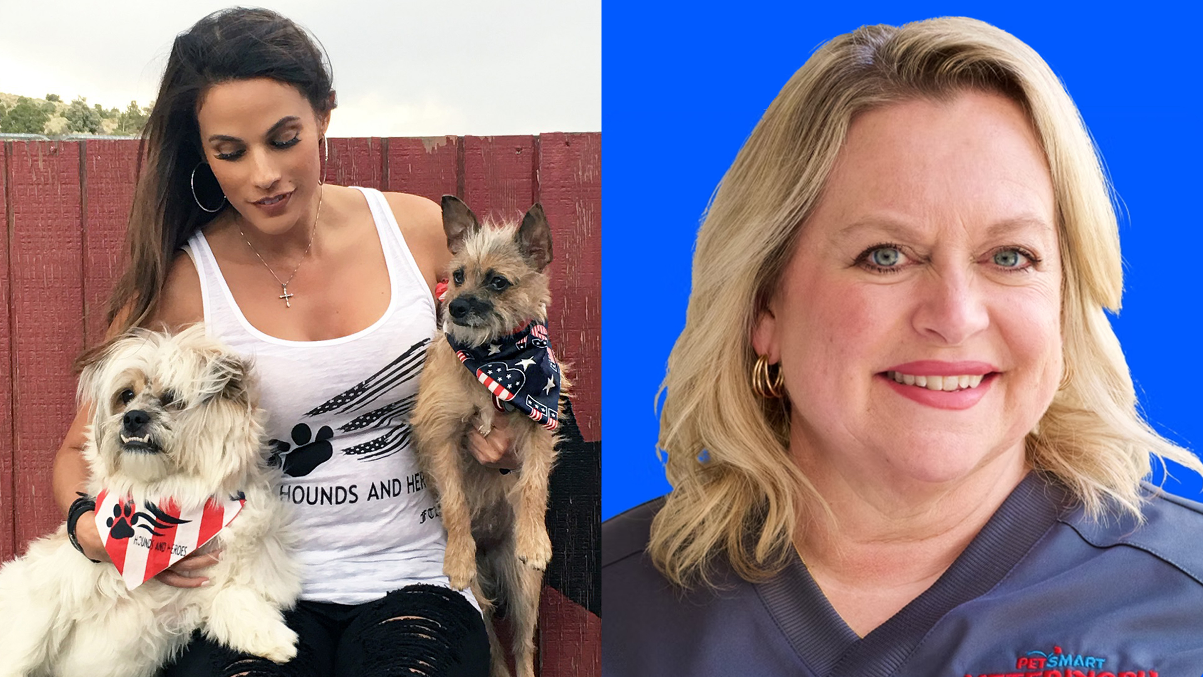 Pet Recalls, Hedgehog Highways & Heroes Helping Animals Thrive