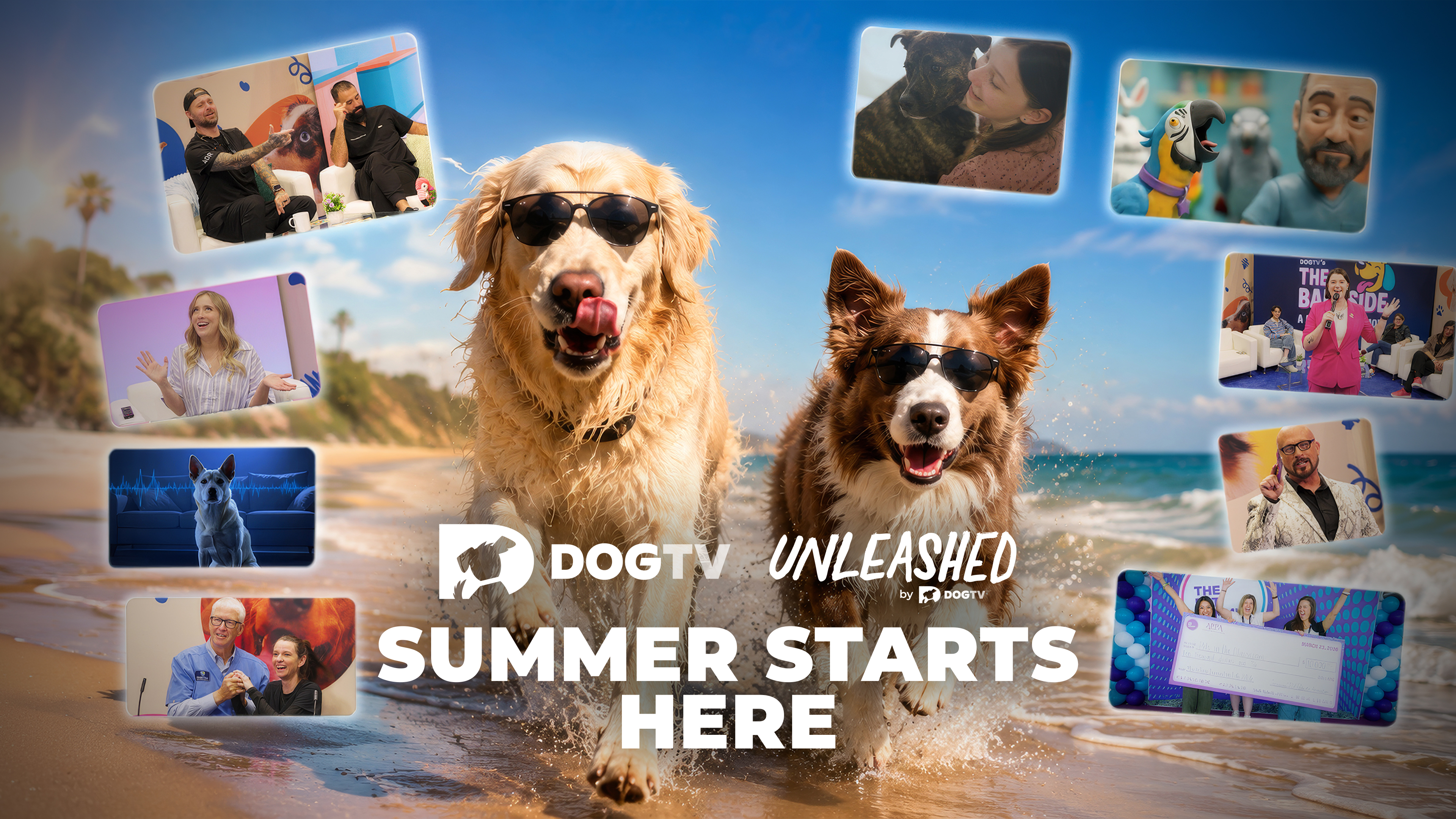 Summer Starts Here
