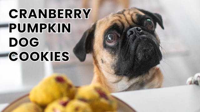 Cranberry Pumpkin Dog Cookies
