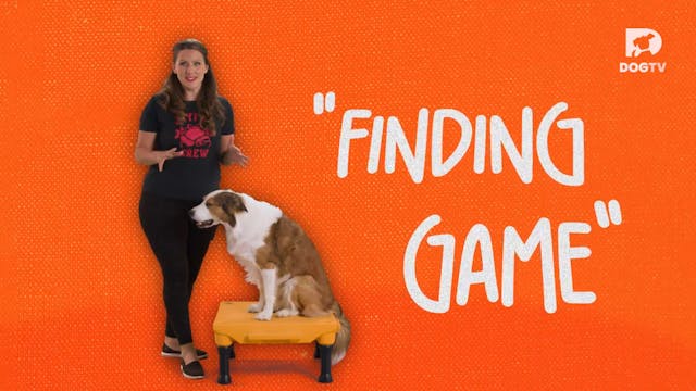 Finding Game