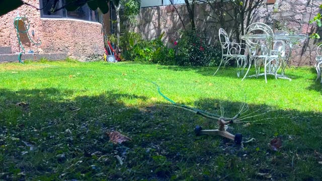 Backyard Spray