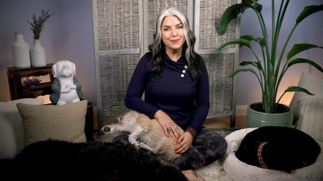 Weekend Meditations #2