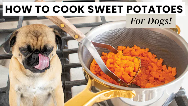 How to Cook Sweet Potatoes