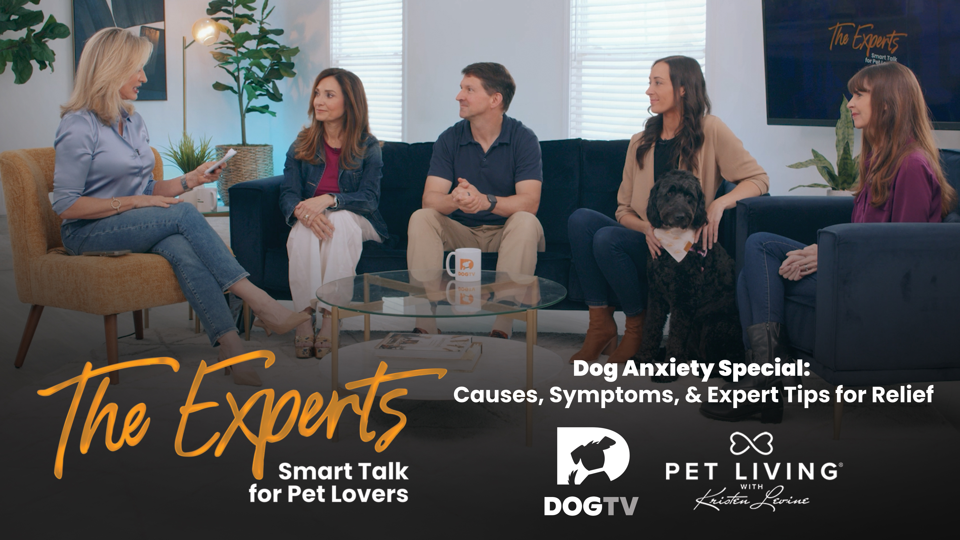 Anxiety in Dogs: Understanding and Easing the Fear