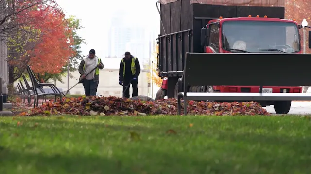 Seasonal Transformations in a City Park