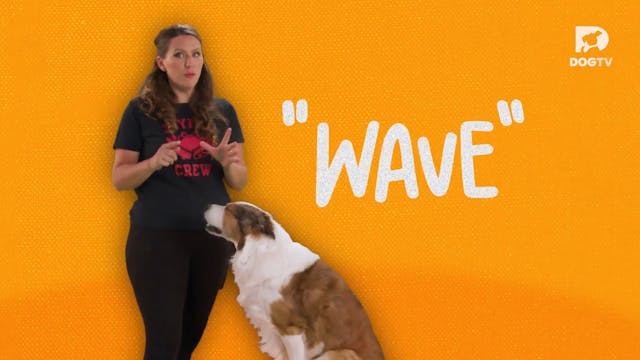 Wave