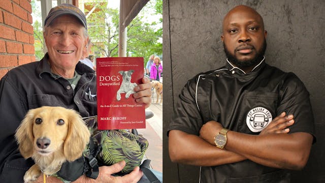 Understanding Dog Emotions, Community...