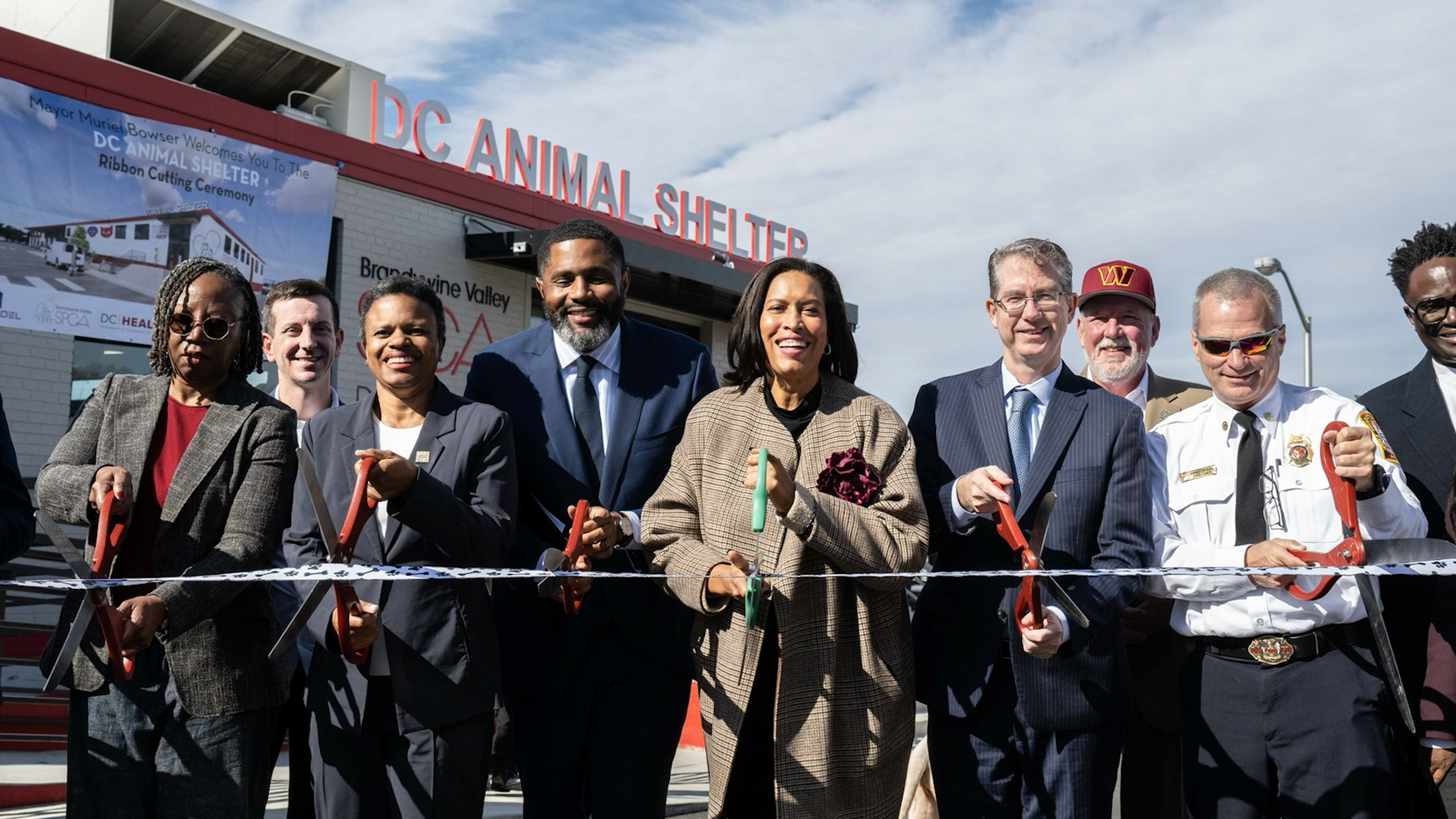 New Beginnings in D.C.